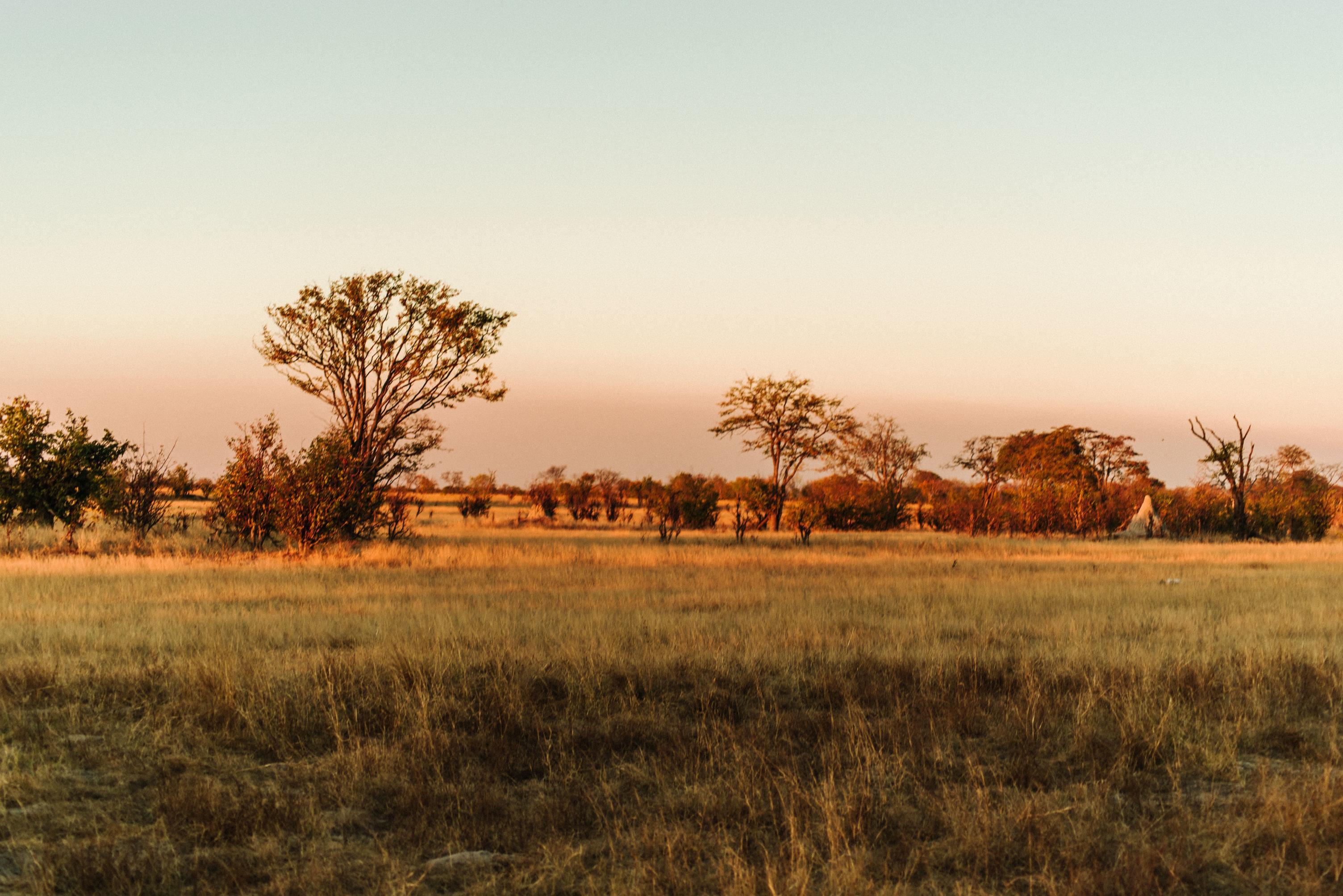 Sunset over Hwange National Park